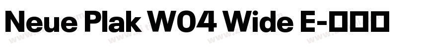 Neue Plak W04 Wide E字体转换